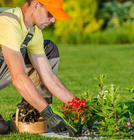 Gardening & Lawncare
